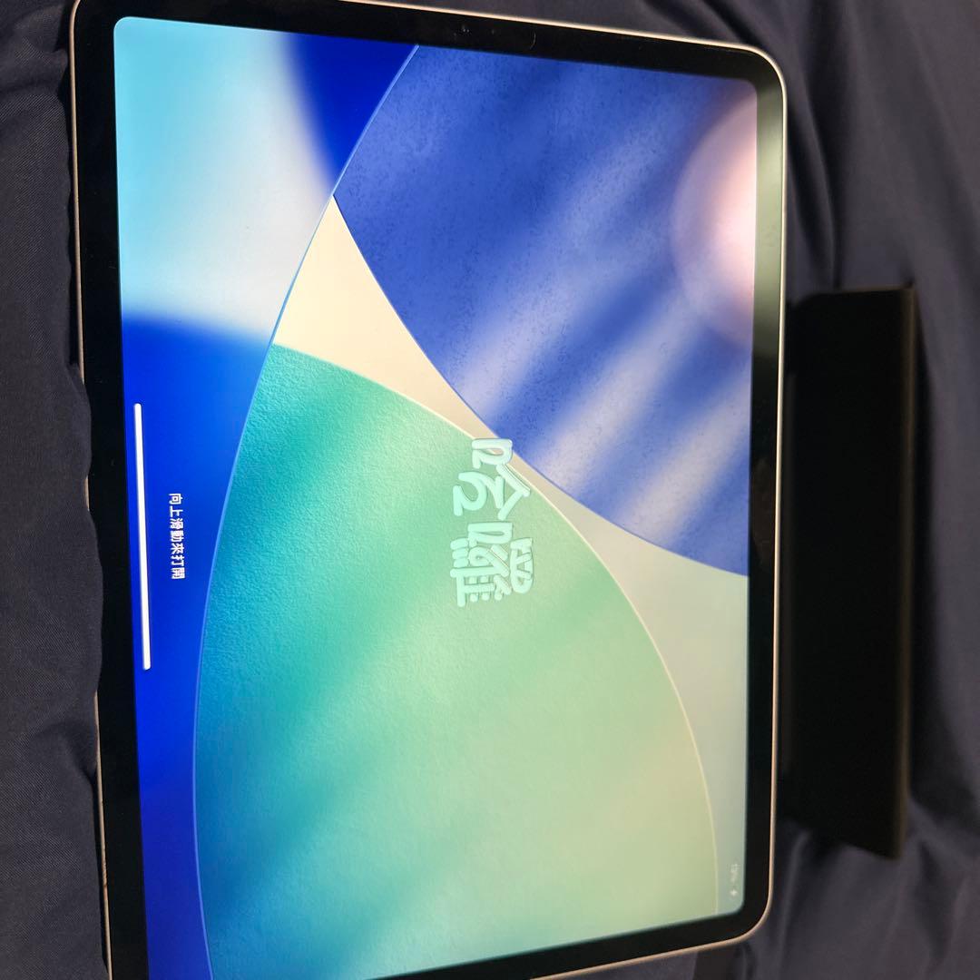 iPad Pro (第2世代) シルバー 11インチ 本体（箱付き）