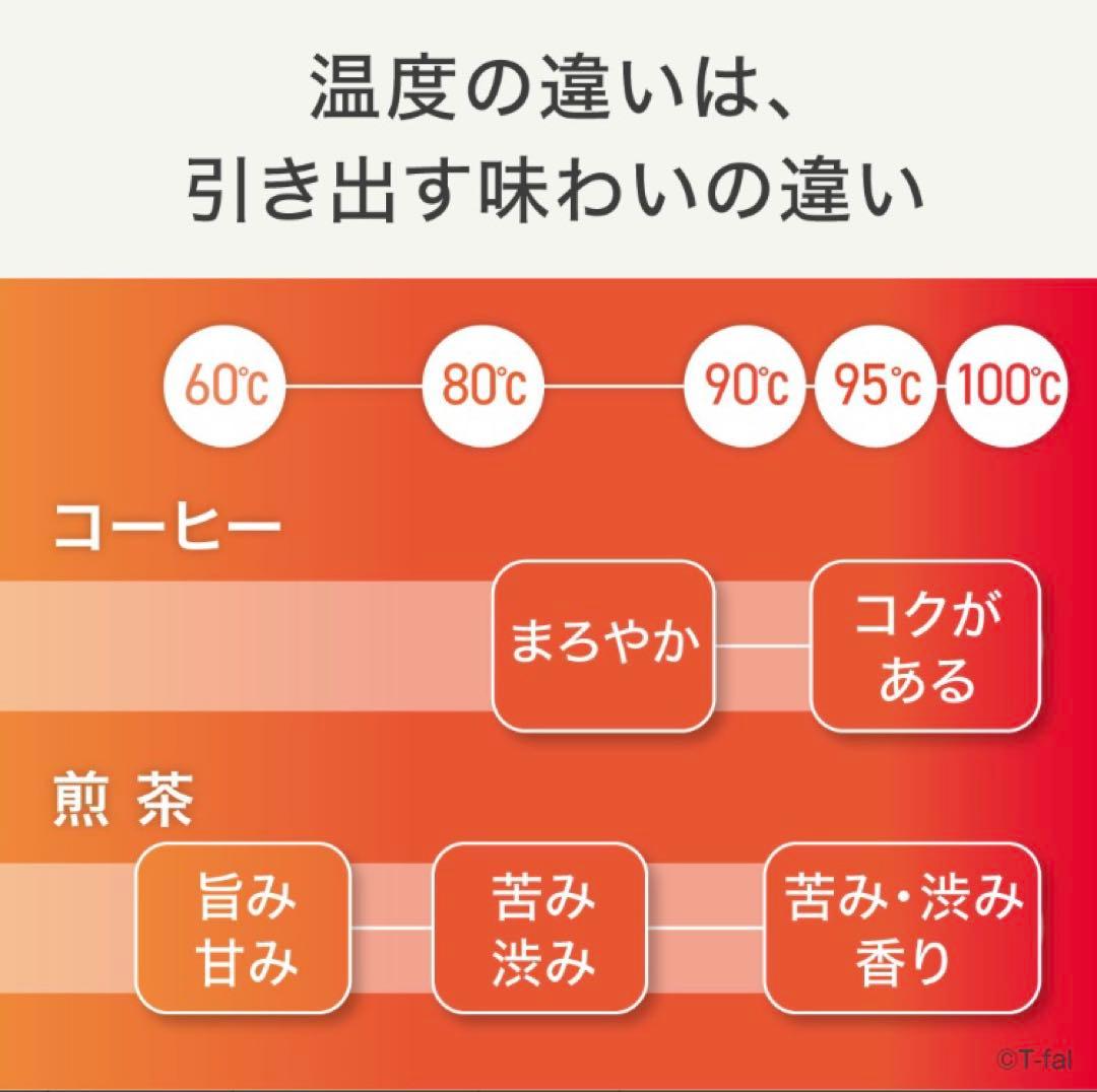 T-fal ディスプレイ　ロック　コントロール　ケトル　0.8L ブラック　新品