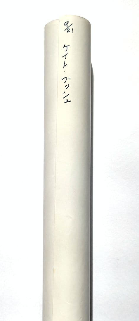 ケート ブッシュ 1980年 魔物語 プロモーションポスター 新品•未使用品
