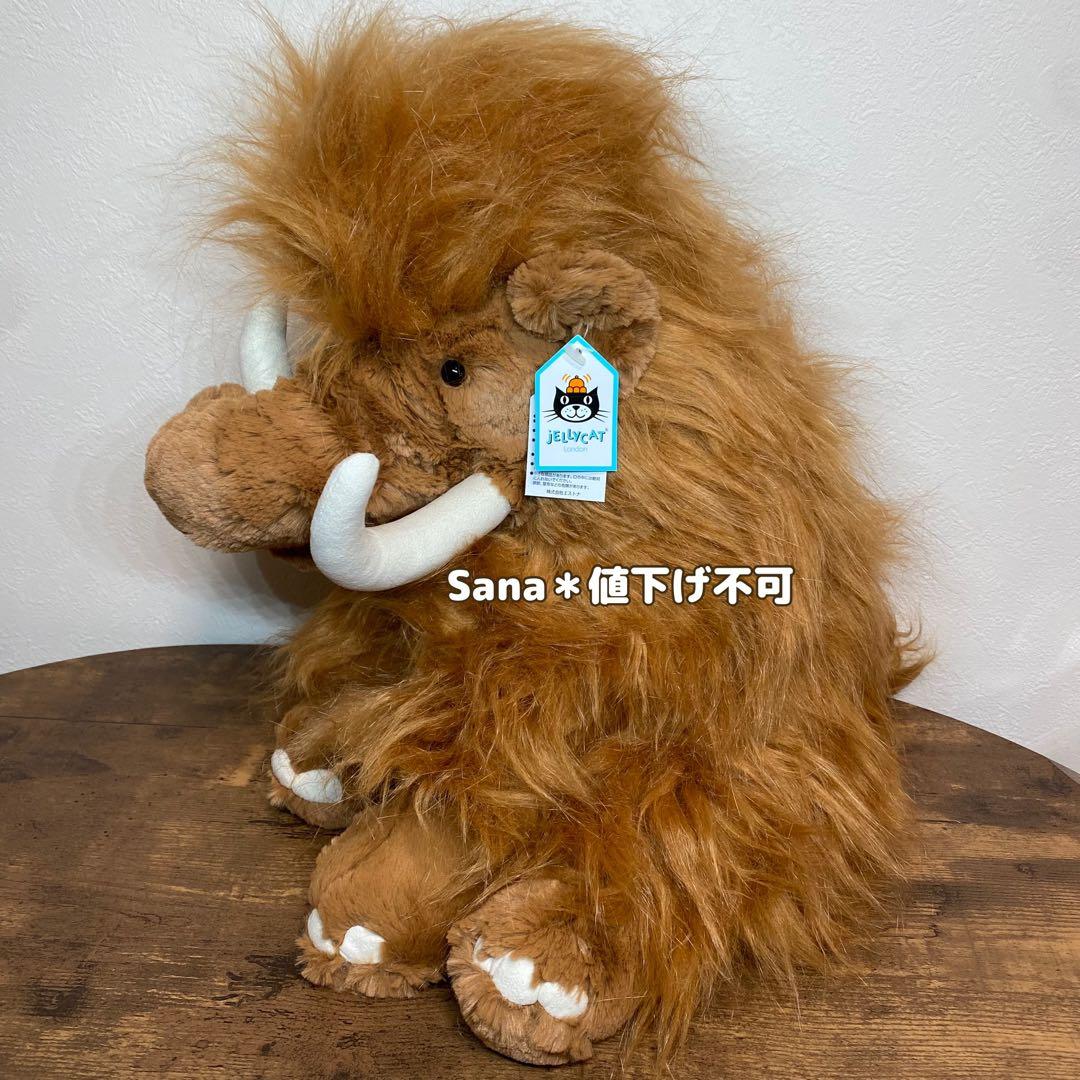 新品　 Maximus Mammoth マンモス