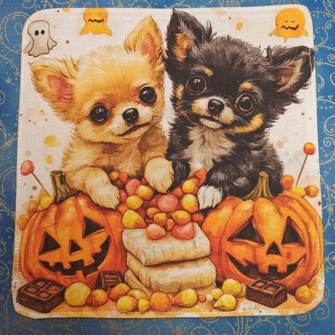 ななちゃん　ハンカチ　チワワ柄　17枚