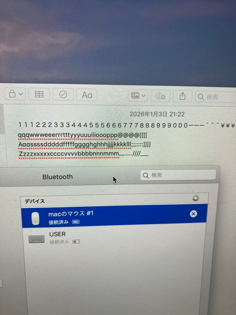 Apple純正マジックキーボード マジックマウス セット