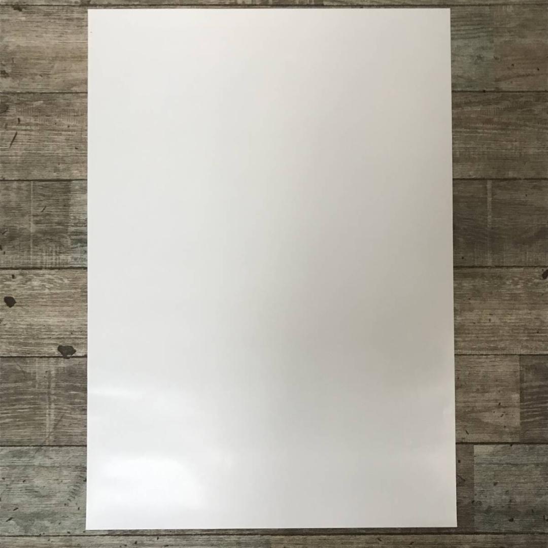 【ポスター】parasite eve パラサイト・イヴ アヤ・ブレア A2サイズ