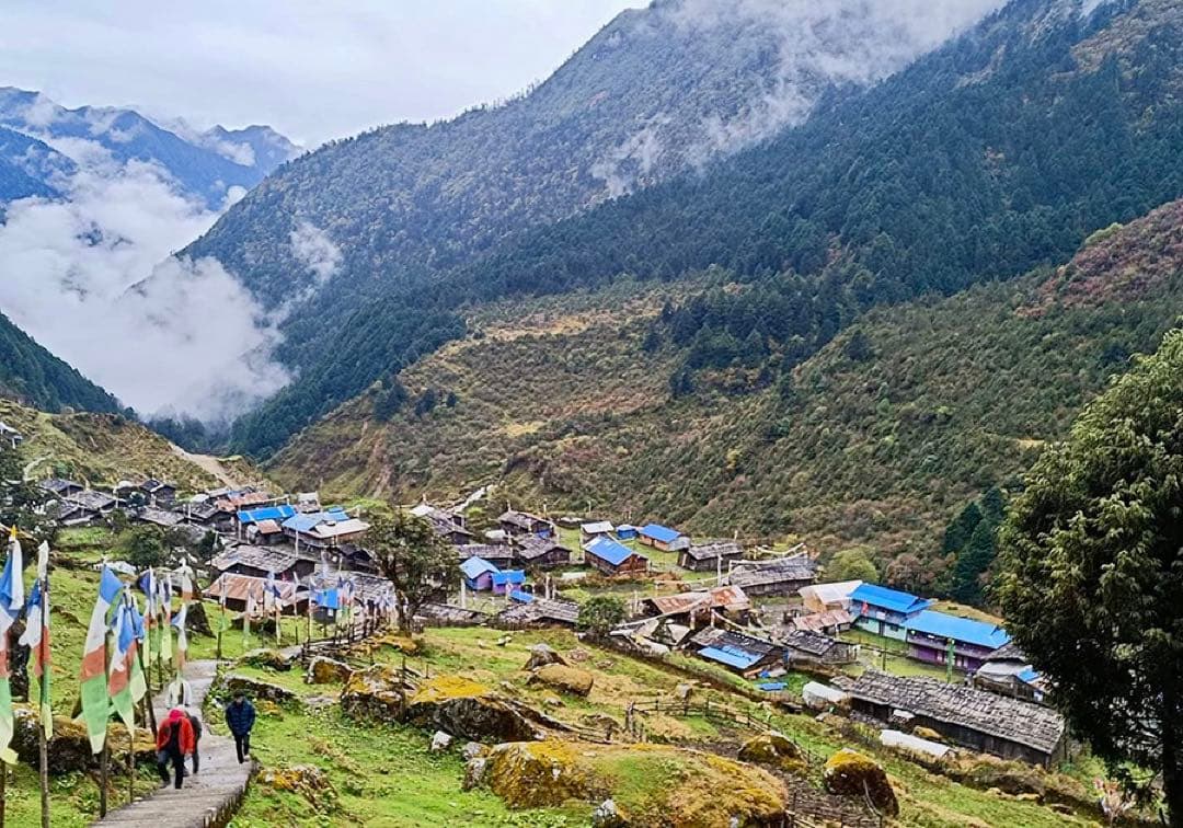 夢幻品質　神々が創造した奇跡のマスタークリスタル　幻のヒマラヤゴールデンヒーラー