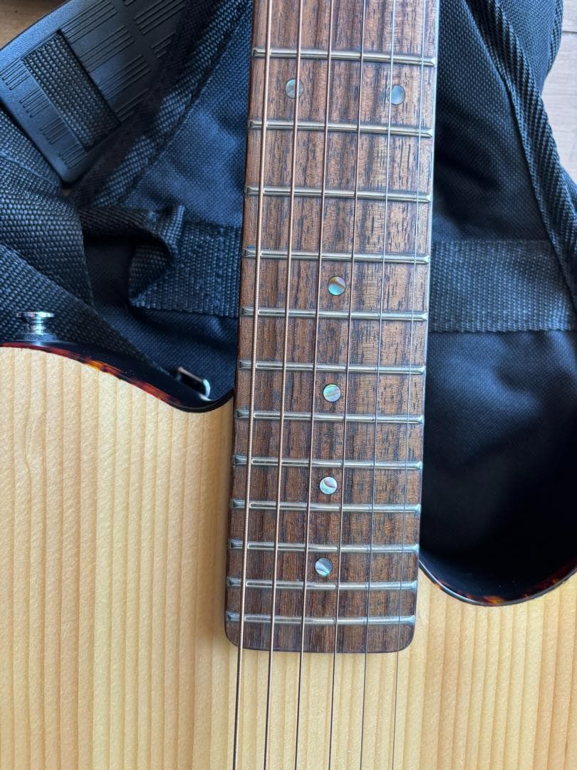 【中古品】SCHECTER（シェクター）エレアコ OL-FL-P