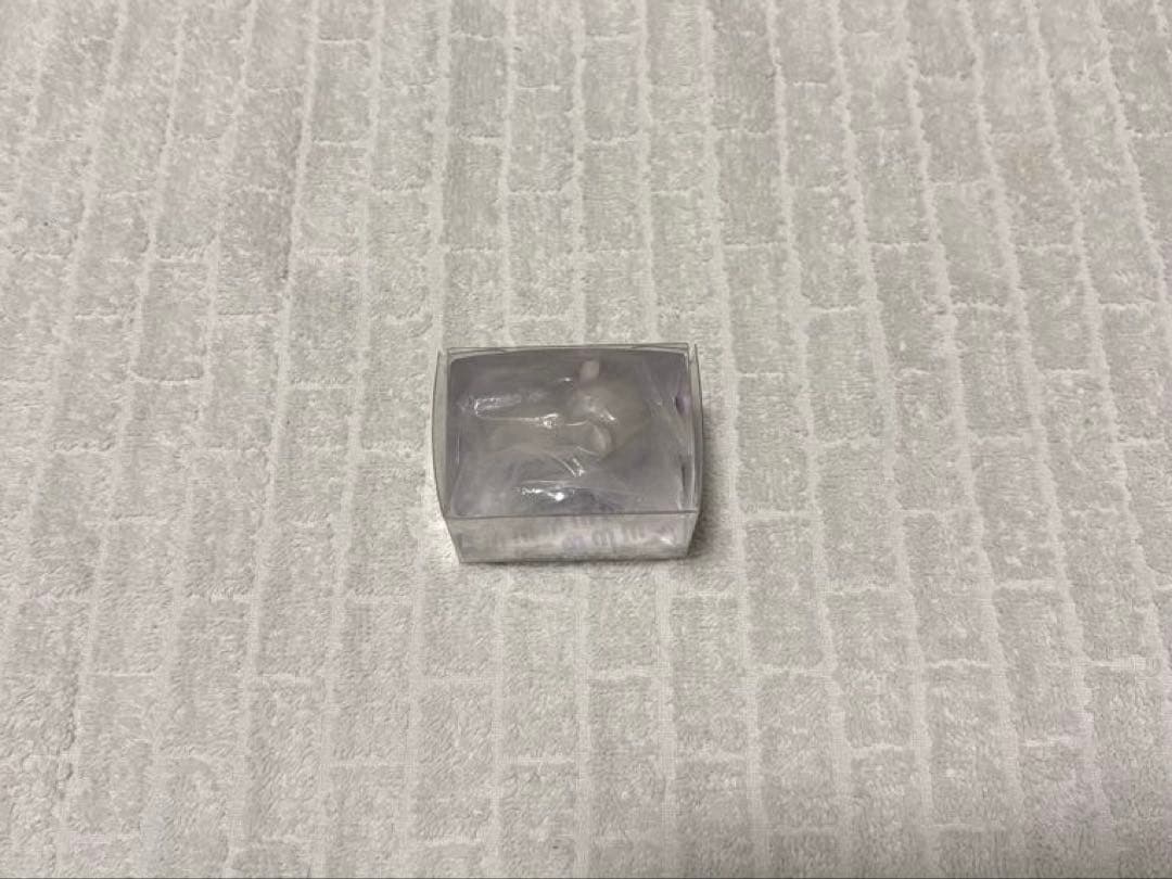 moni moni ANIMALS ねこ