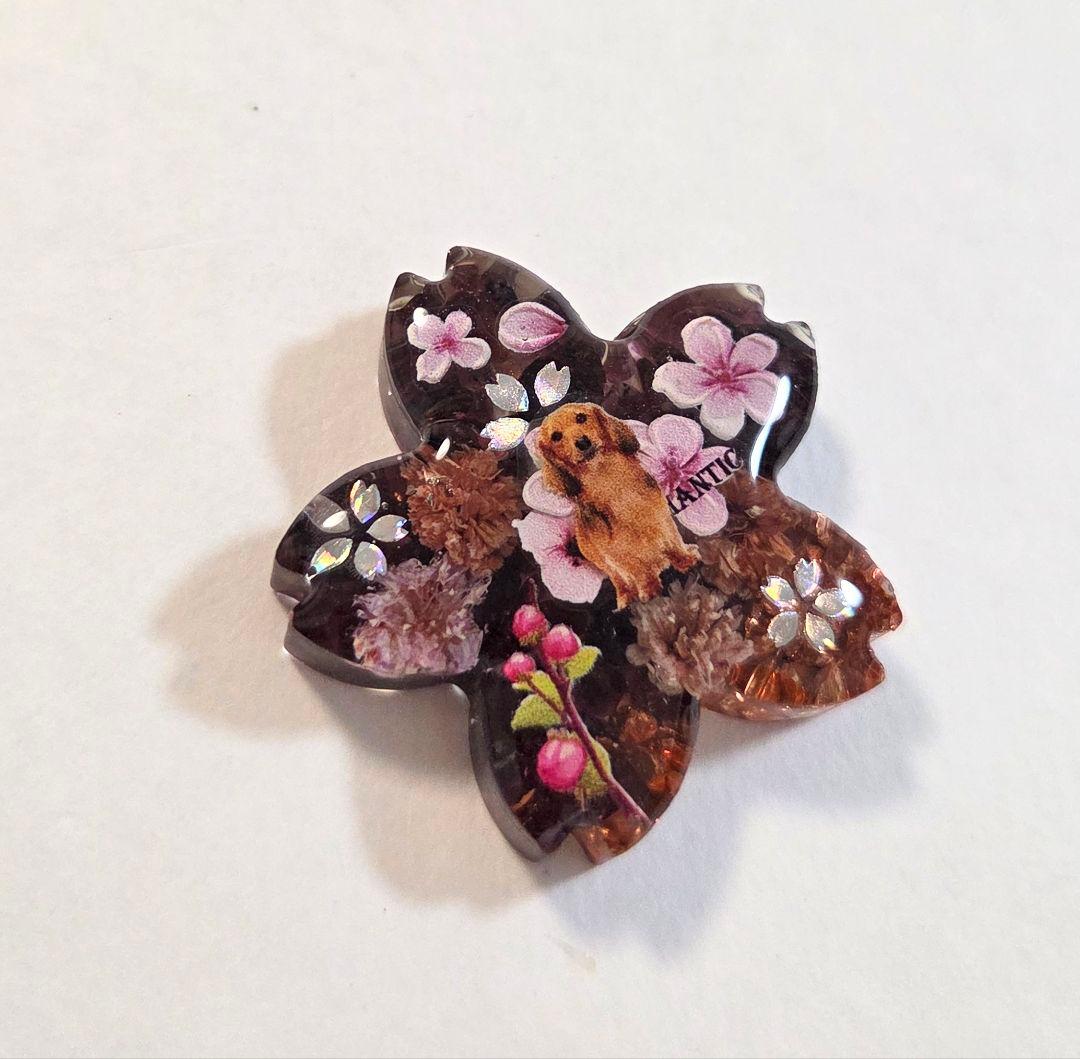 ダックスフンドちゃん桜アクセサリー✨天然石とドライフラワー入り