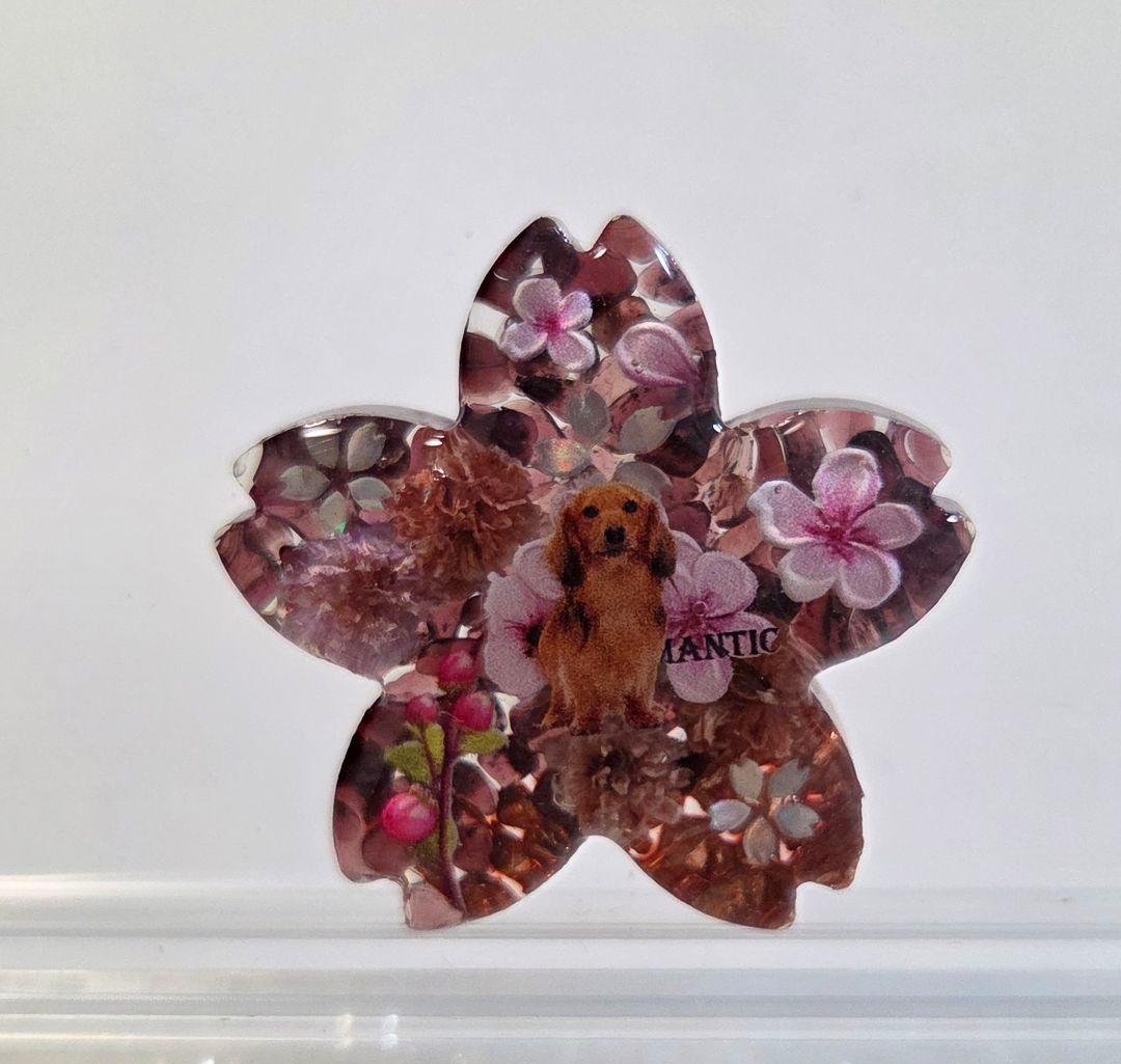 ダックスフンドちゃん桜アクセサリー✨天然石とドライフラワー入り
