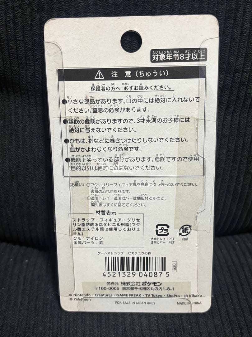 ポケパーク ピカチュウ ピカチュウの森　キーホルダー