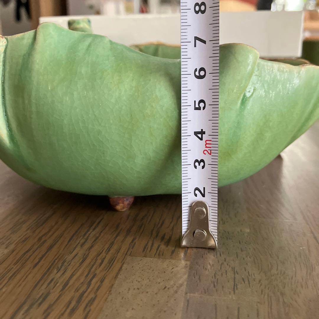 【未使用】有川京子さん　カエル蓮ボウル