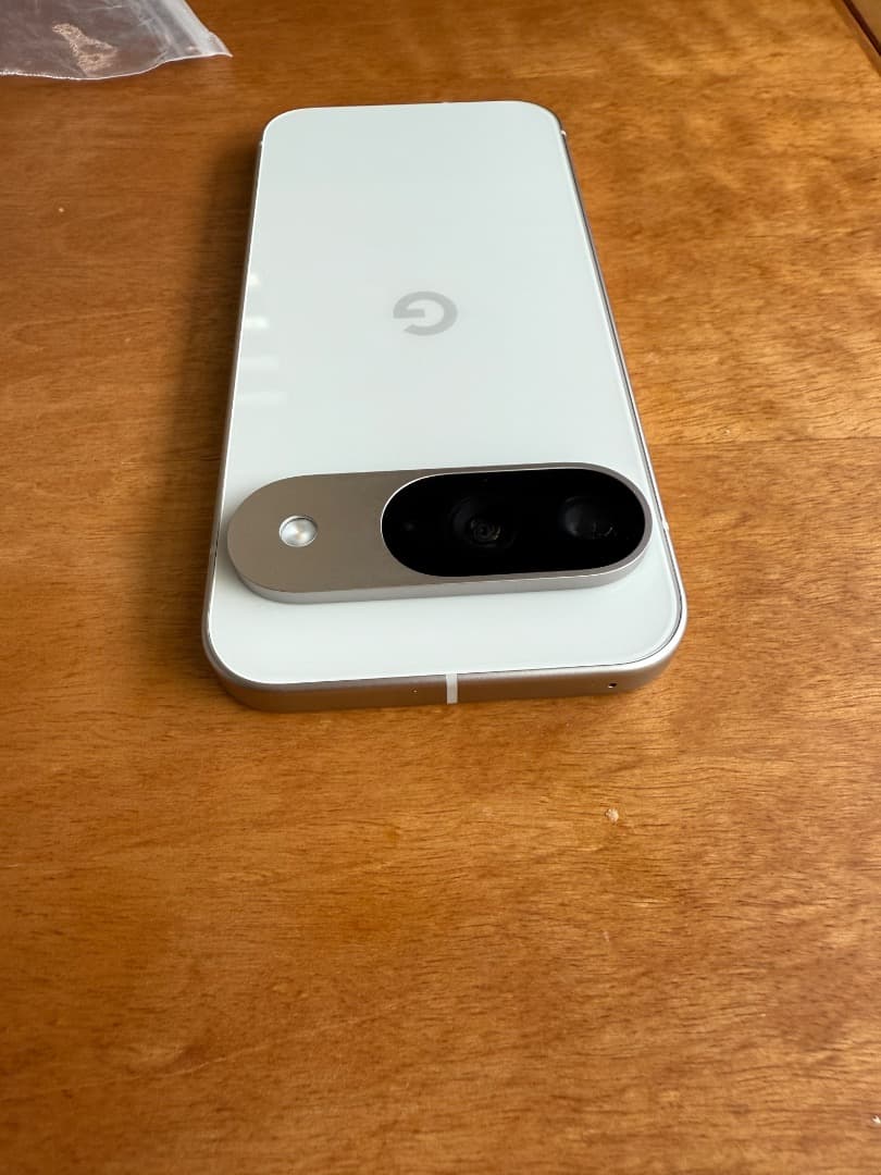 国内版　SIMフリー　Google Pixel 9 128GB