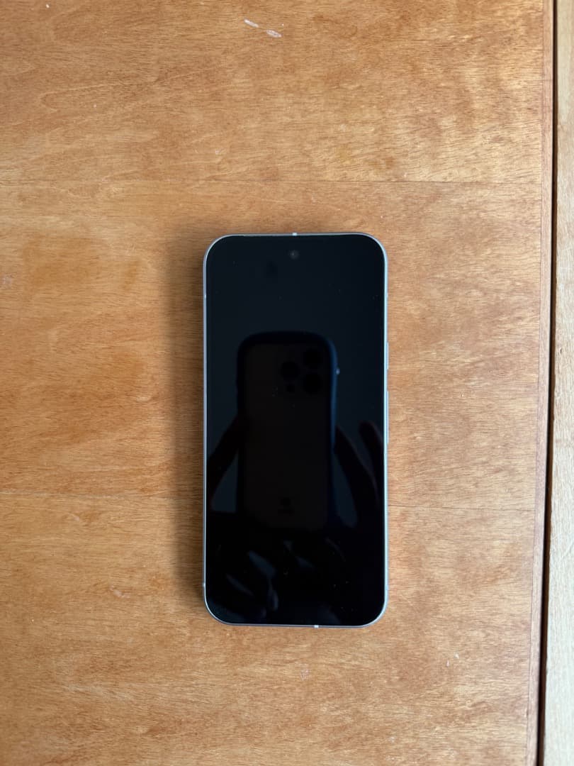 国内版　SIMフリー　Google Pixel 9 128GB