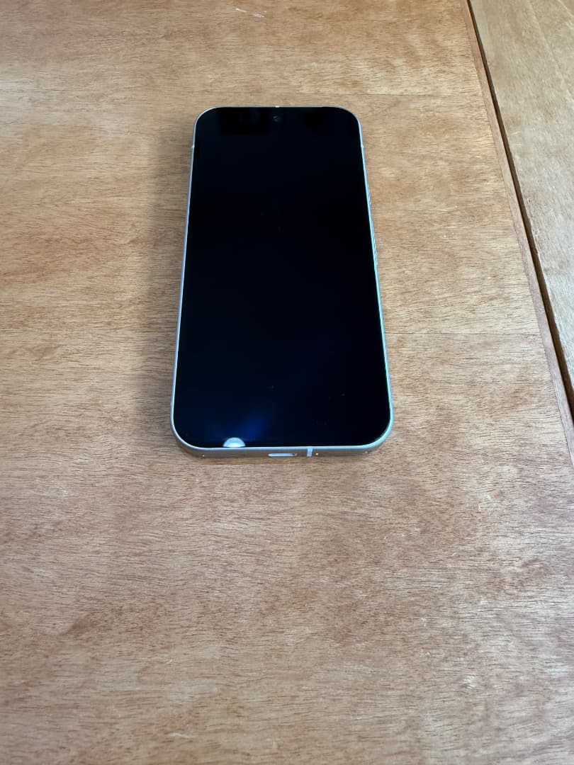 国内版　SIMフリー　Google Pixel 9 128GB