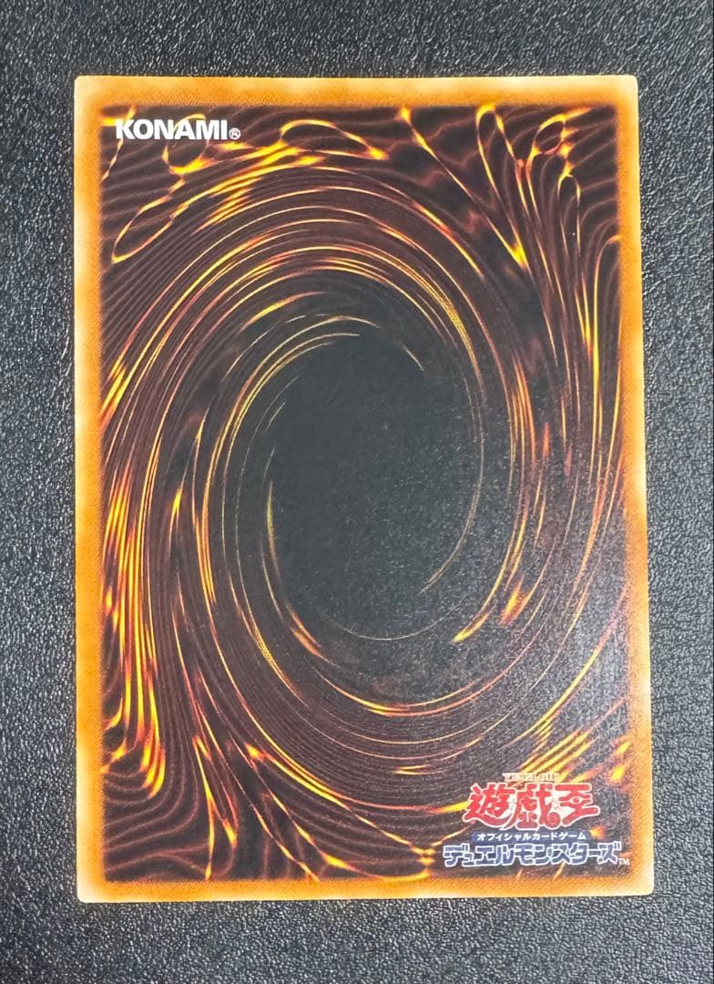 真紅眼の闇竜/レッドアイズダークネスドラゴン/ ドラゴン族/遊戯王/レリーフ