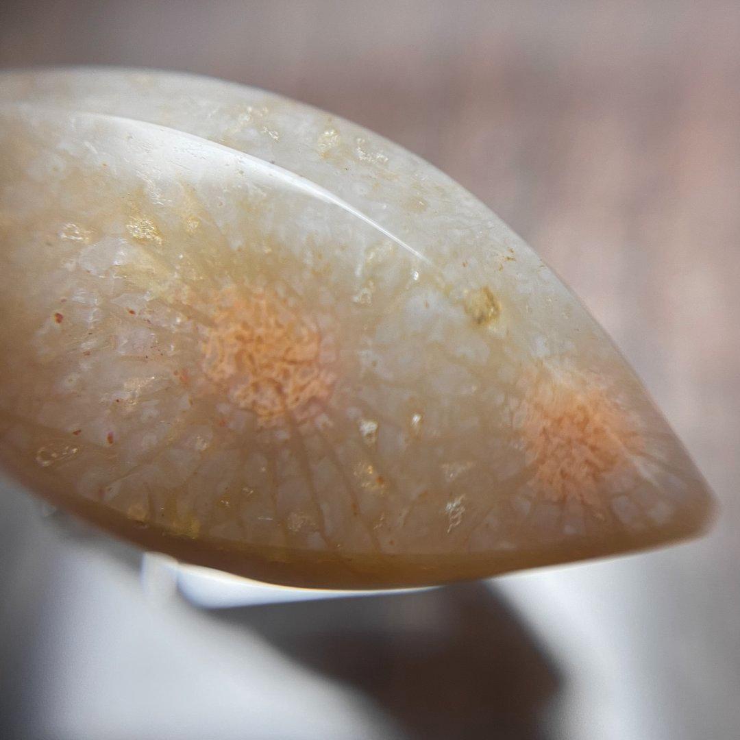 フォッシルコーラル 　穴あき　ルース　天然石　a10173