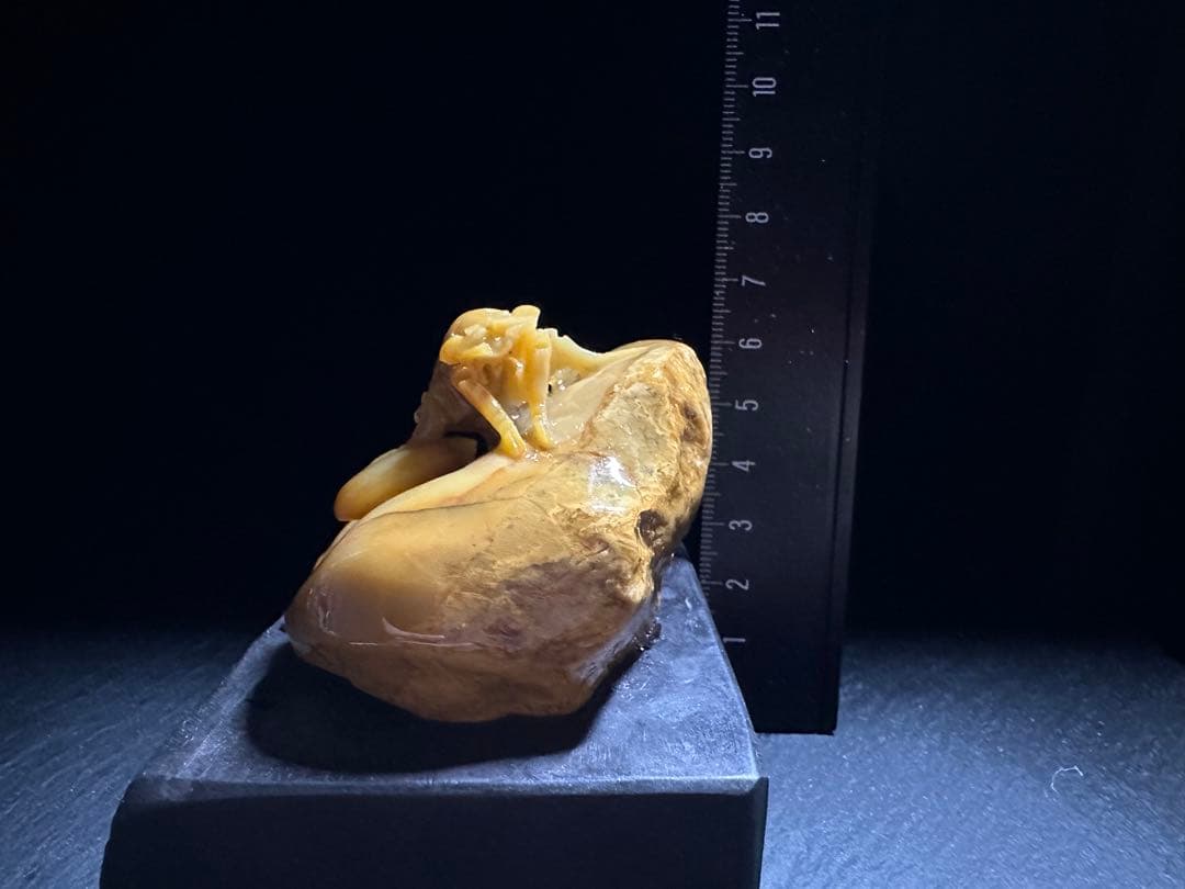 36寿山石　田黄　蝉　置物　縁起物　手彫り　原石