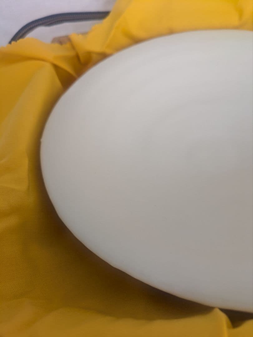黒田泰蔵 白磁 皿 23cm 共箱付 Taizo Kuroda