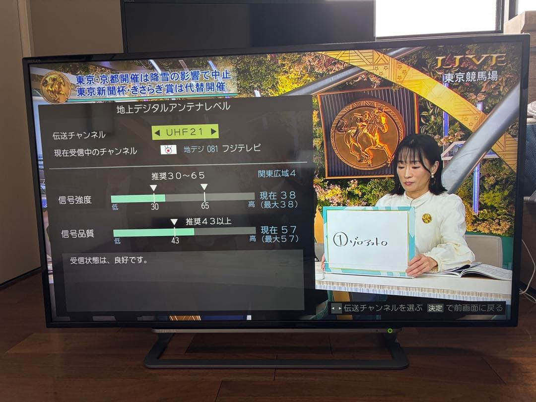 ⭐ 東芝 REGZA 43G20X 43インチ 4K 液晶テレビ ⭐