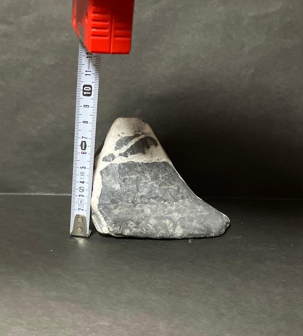 最終お値下げ『超レア、置き石』富士山風