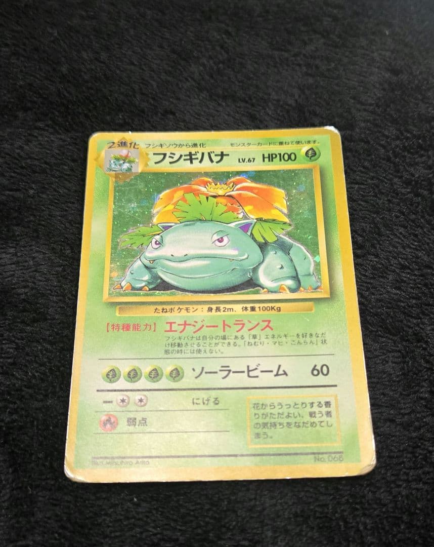 【傷あり】フシギバナ ★ 第1弾拡張パック（旧裏・初版・マークなし）