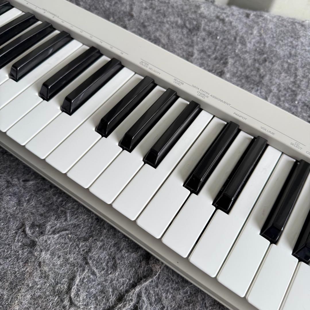 GI56激安早い者勝ち✨　ローランド MIDI キーボード pc180