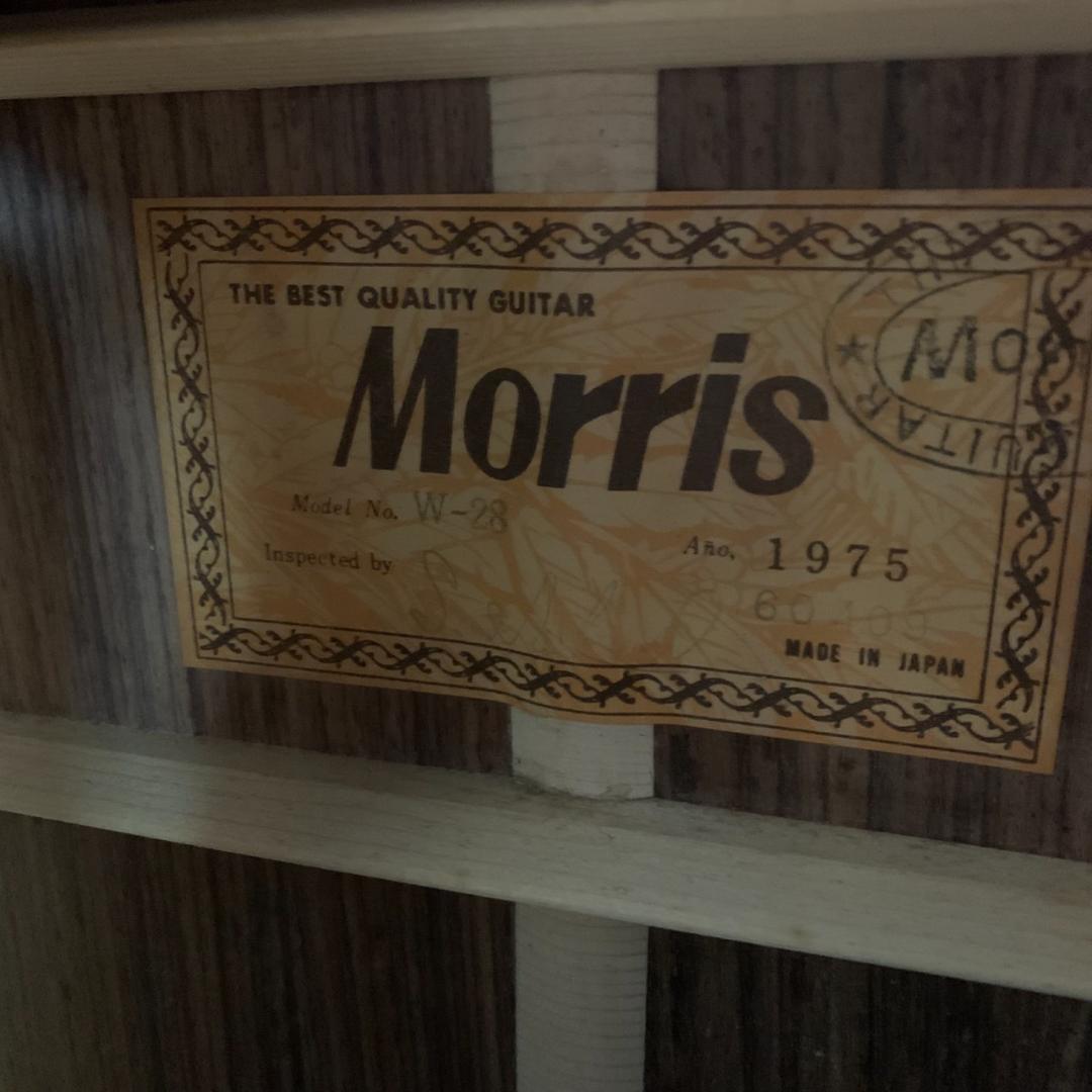 K068 MORRIS アコースティックギター W-28