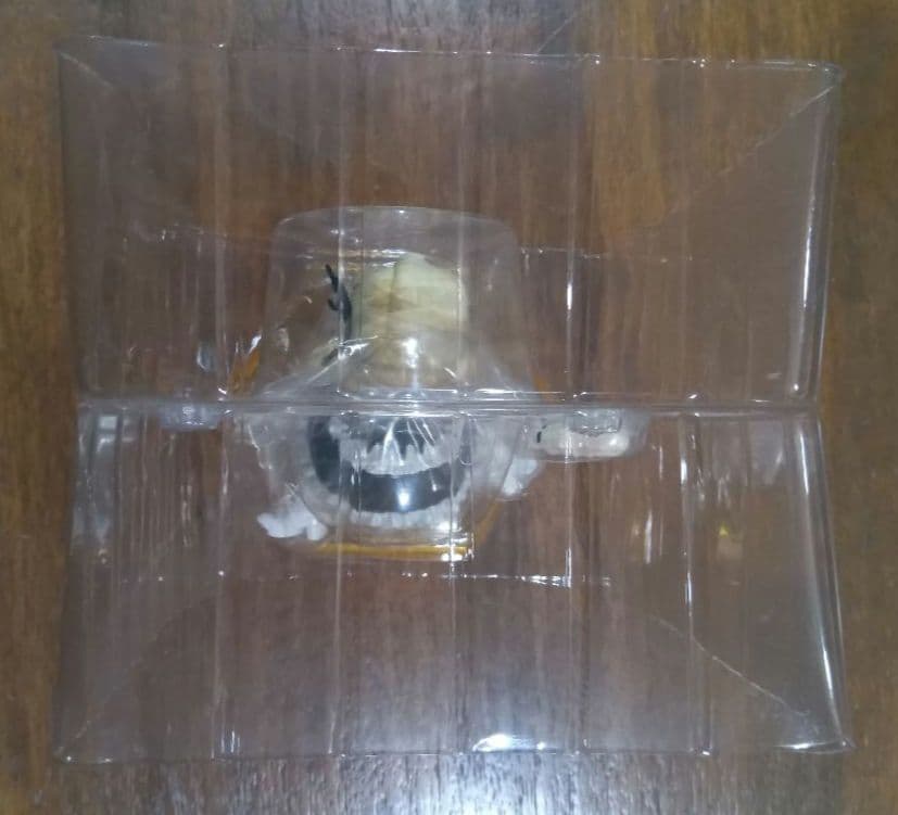 柏崎星奈 「僕は友達が少ないNEXT」 1/8 塗装済み完成品