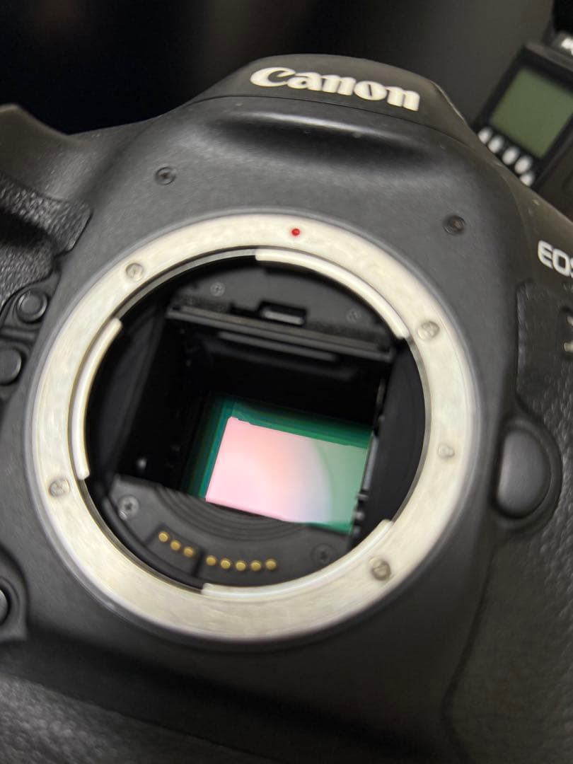 Canon EOS-1D X 動作品