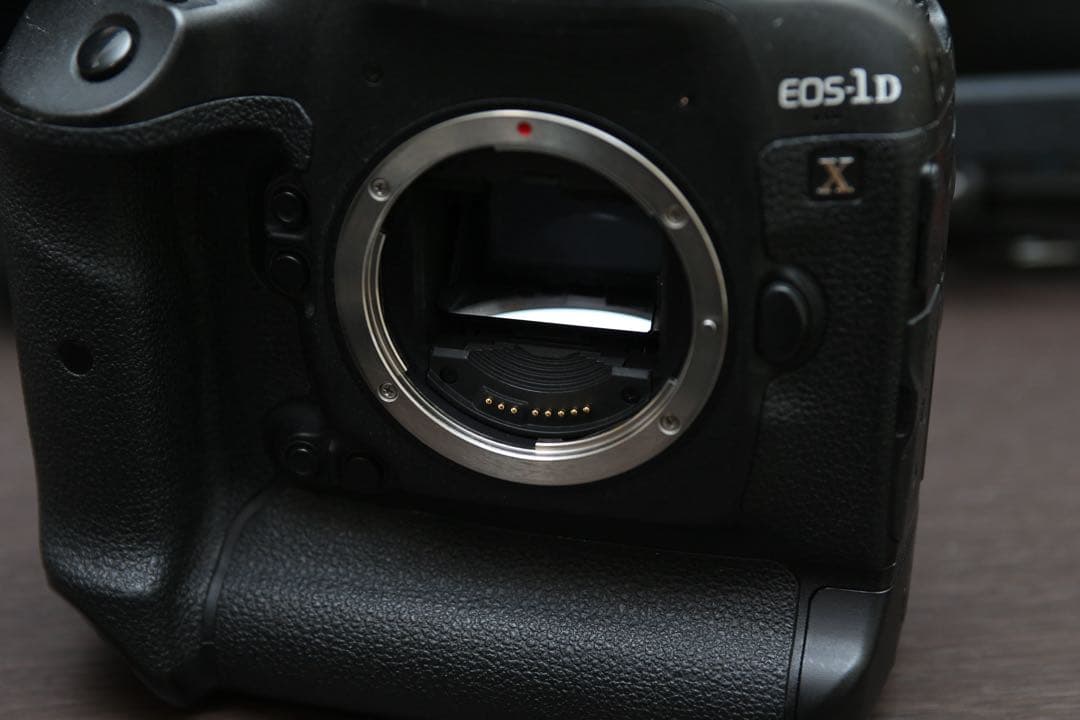 Canon EOS-1D X 動作品