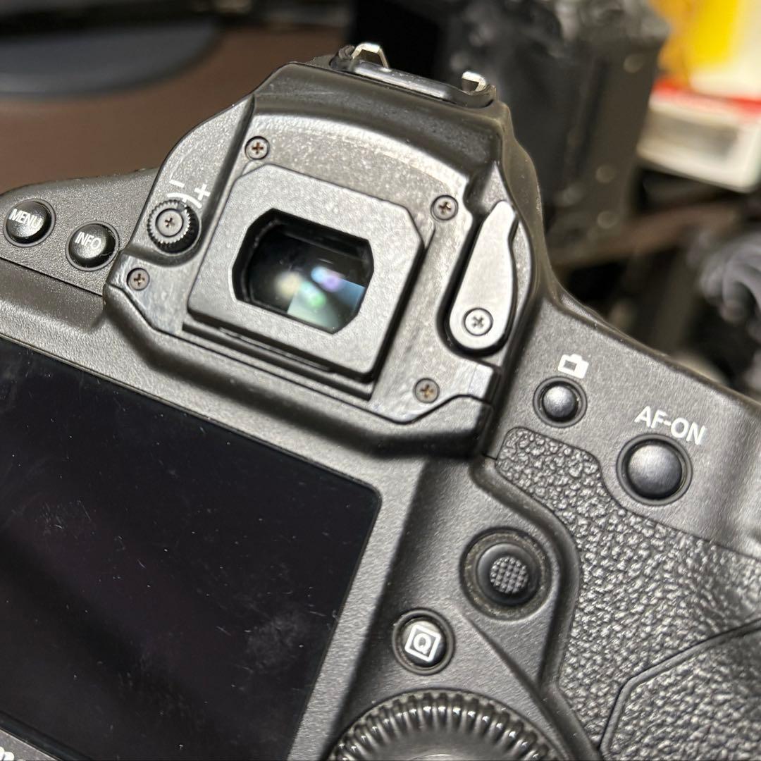 Canon EOS-1D X 動作品