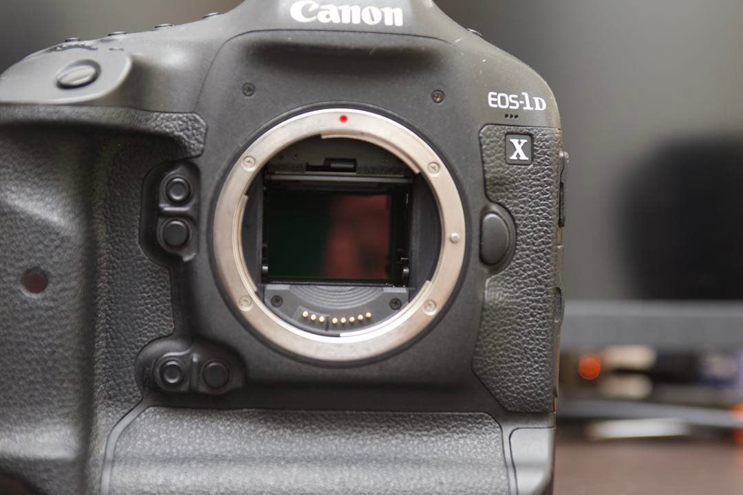Canon EOS-1D X 動作品