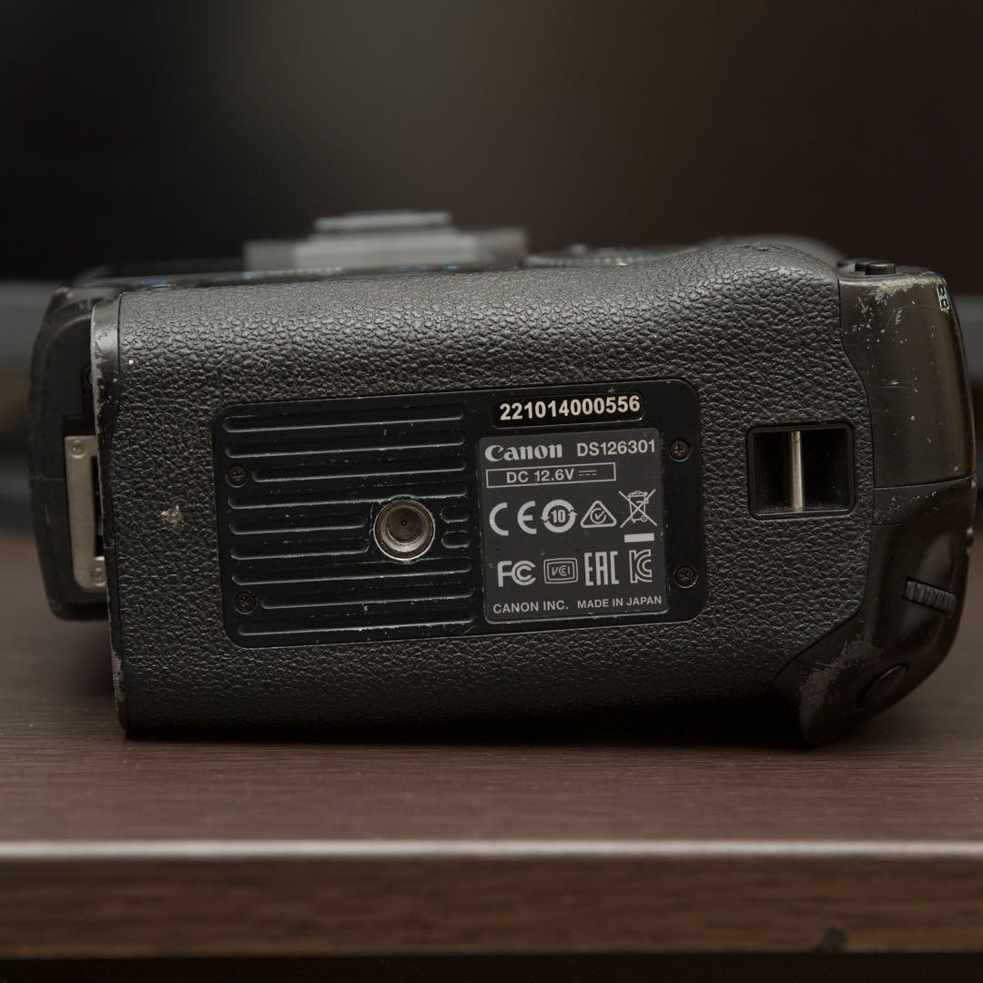 Canon EOS-1D X 動作品