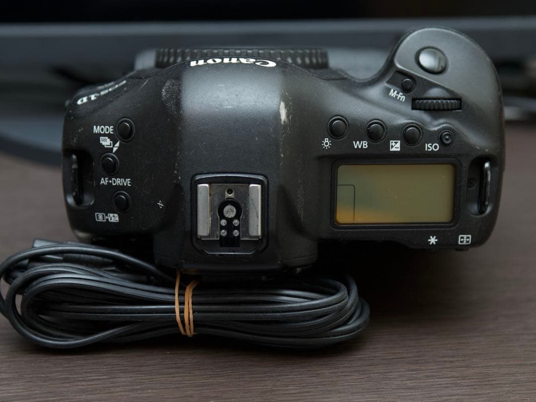 Canon EOS-1D X 動作品