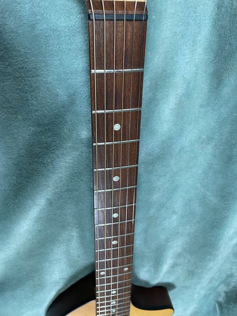 フェルナンデス　ZO-3A エレアコゾーさん