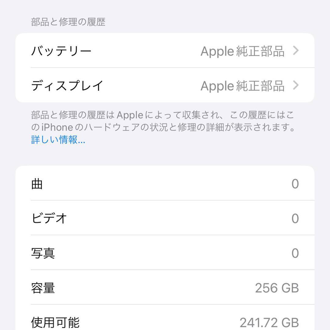 iPhone 13 Pro Max 256GB シエラブルー本体
