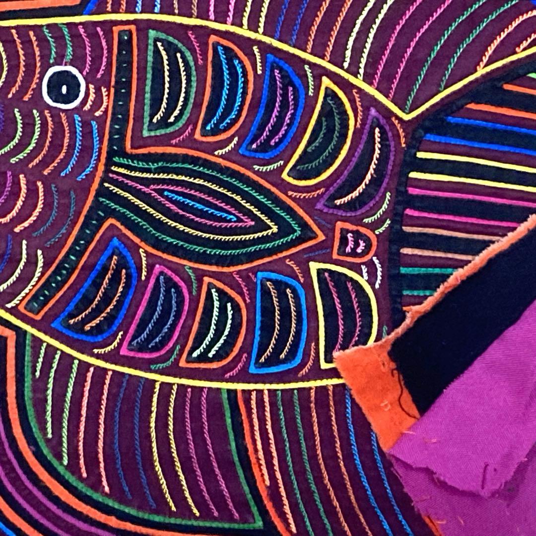 パナマモラ(カリブ海の魚　B)