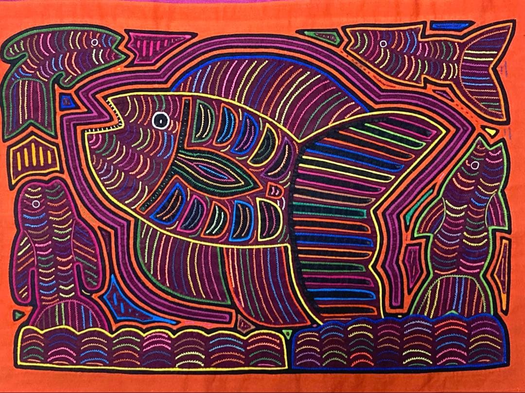 パナマモラ(カリブ海の魚　B)