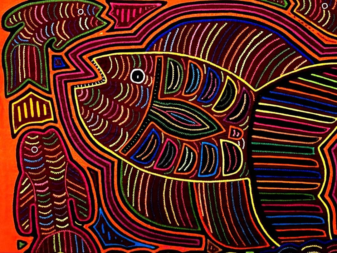 パナマモラ(カリブ海の魚　B)