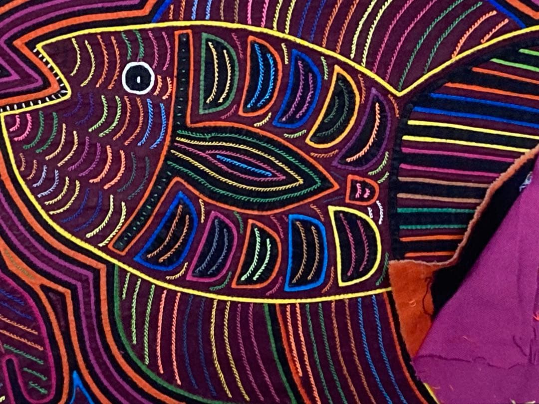 パナマモラ(カリブ海の魚　B)