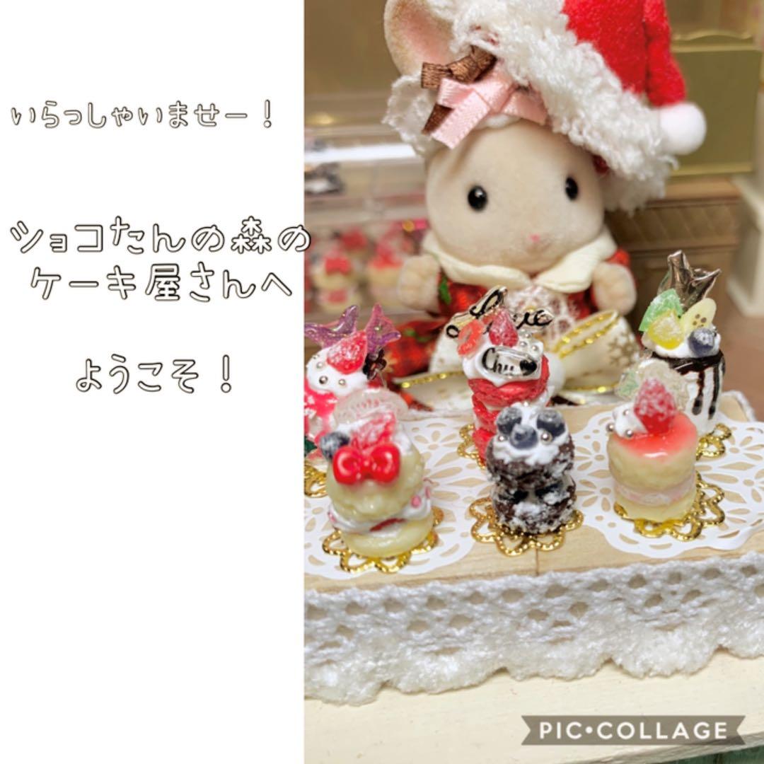 ショコたんのまーるいショートケーキセット