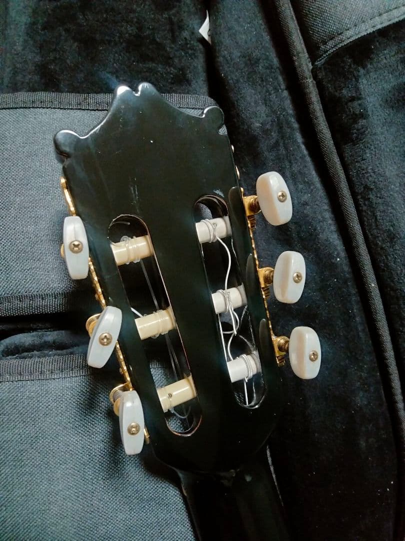 Ibanez エレガット エレガットギター アイバニーズ