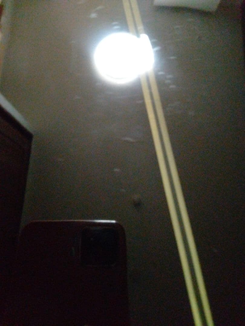 Ibanez エレガット エレガットギター アイバニーズ