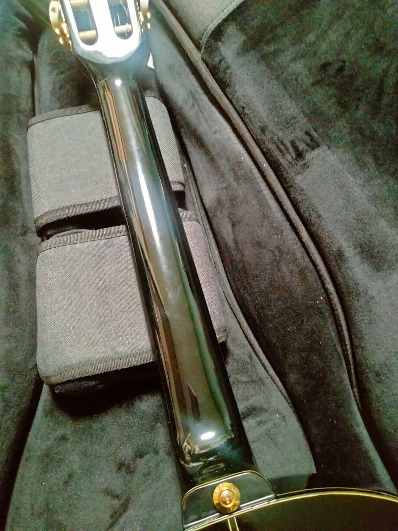 Ibanez エレガット エレガットギター アイバニーズ