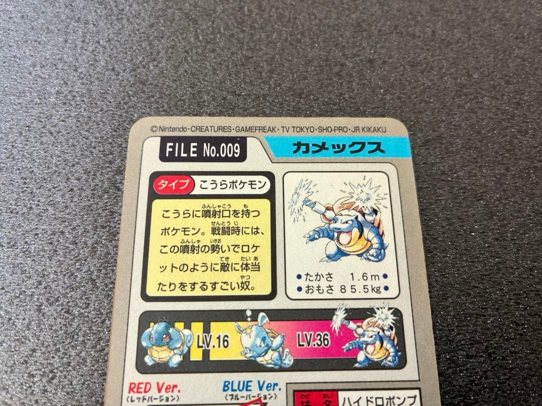 カメックス ポケモンカード　FILE No.009 カードダス