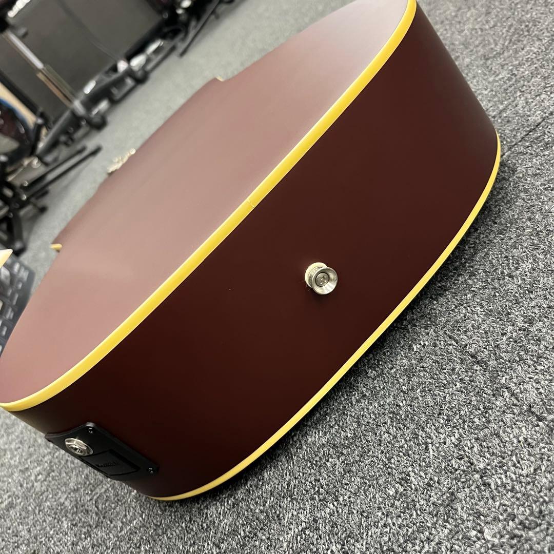 【11830】Fender Malibu Player BGD WN エレアコ