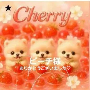 ピーチ様確認用