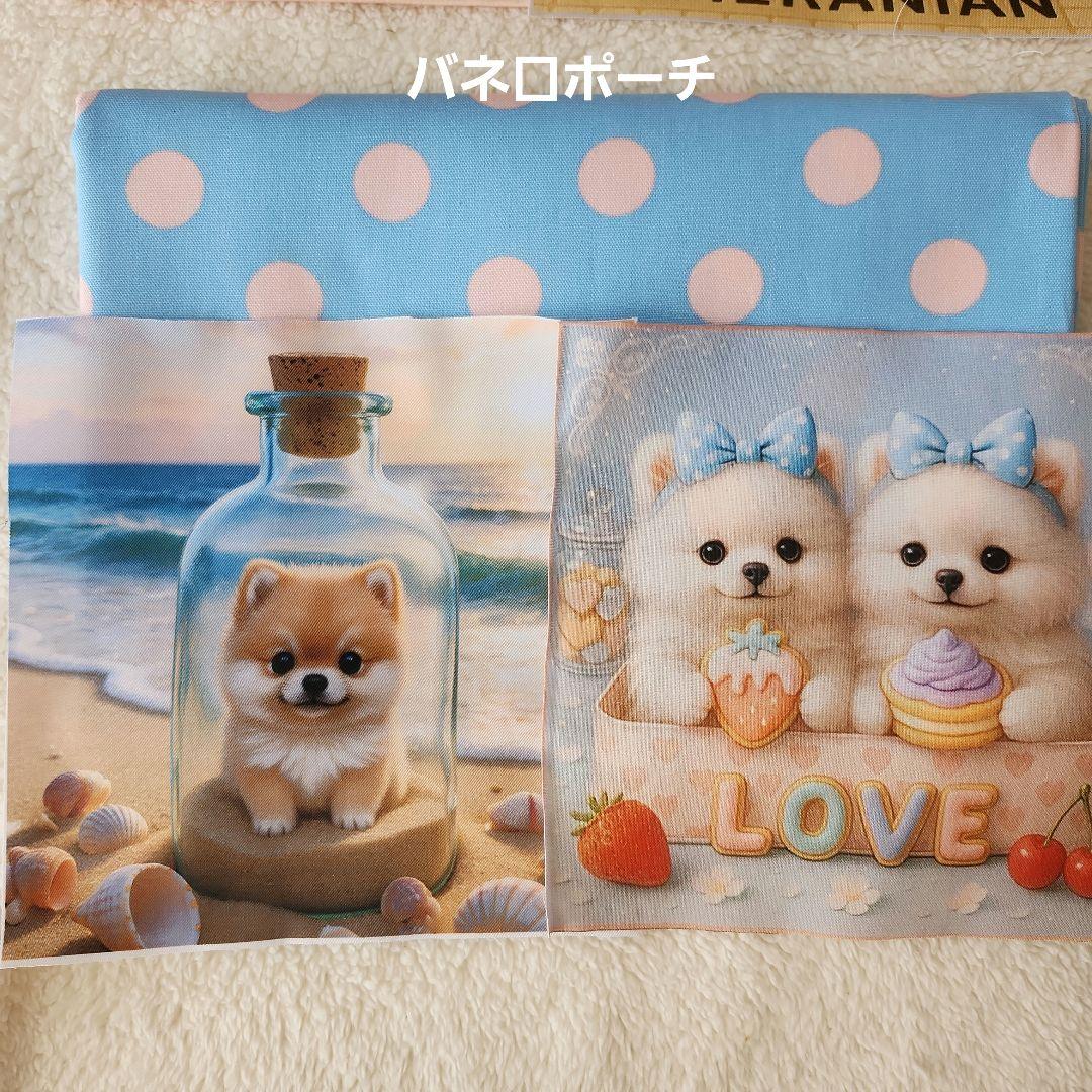 ピーチ様確認用