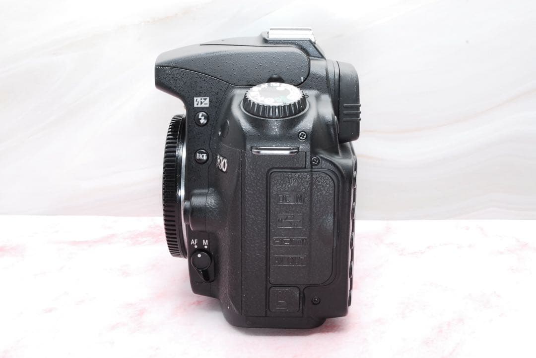 お花見にも最適✨Nikon D90✨ダブルレンズ✨初心者✨ニコン