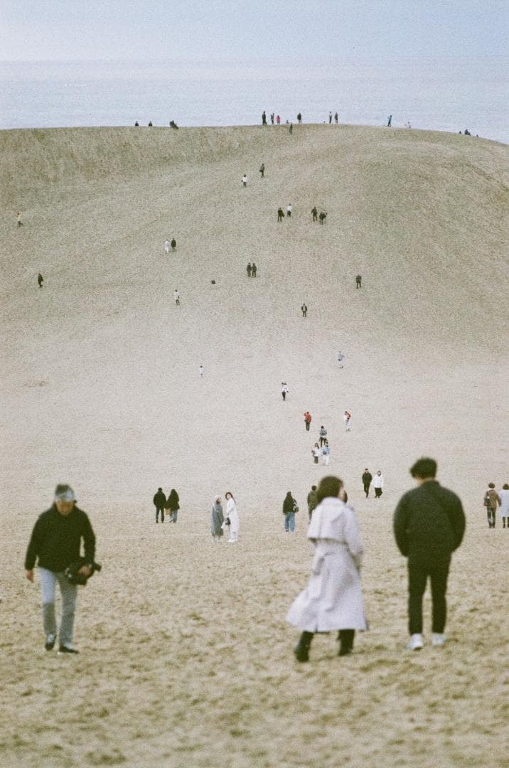 改良版シャッタースピードテスター（35mmフイルムカメラ用／光源ライト付き