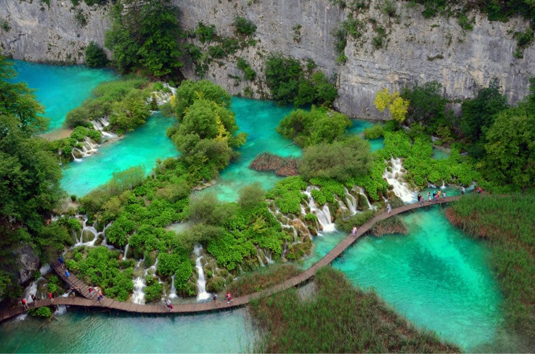 【美品】Nikon D610